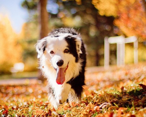  西安招待所：一夜之间畅享舒适与便利