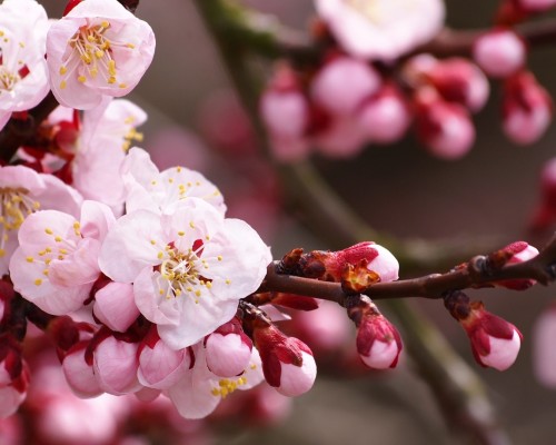 群众出版社官网