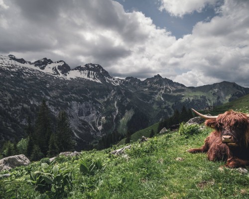 桐乡市中医医院官网