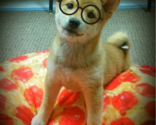 西安灞桥公园怎么样（西安灞桥公园怎么样啊）