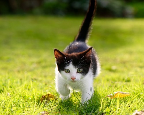 四川省林业中心医院官网