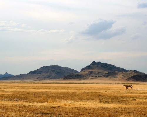  北京代理注册及北京代理注册公司流程和费用