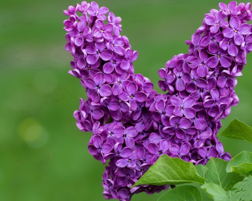 陕西中信力顿怎么样（中力信达科技开发有限公司）