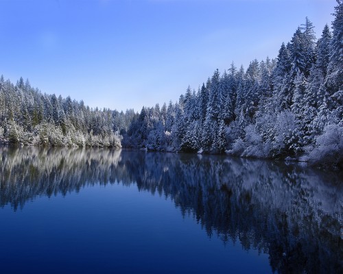 沧州市人民医院官网