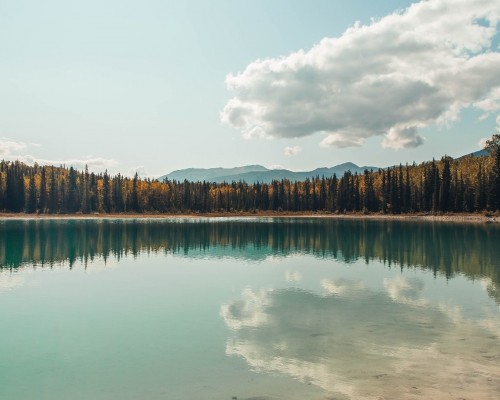  西安永煜建筑(加固)工程有限公司及永煜实业：专业加固工程服务与实业发展