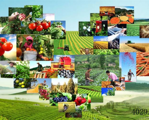 西安高资化工集团有限公司