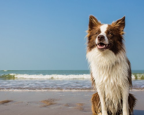 宝鸡博源环境科技有限公司怎么样（宝鸡博源环境科技有限公司怎么样啊）