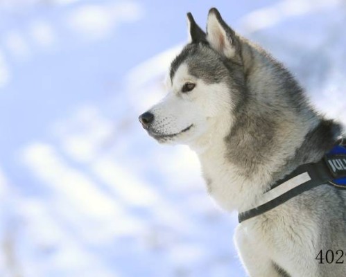 上饶平安医院官网