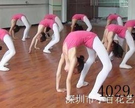 西安小百花艺术教育有限公司