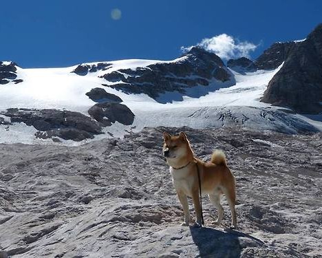  个体工商户注册流程及个体工商户注册流程图