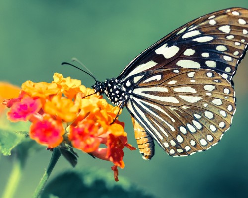河北医科大学第二医院官网