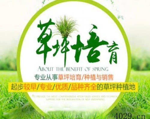 西安金渭滩农业科技有限公司