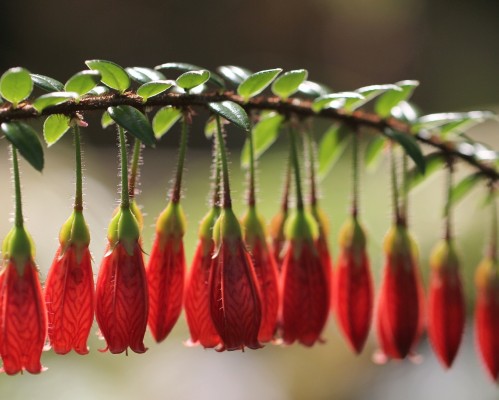 股票为什么要过一个交易日才能卖