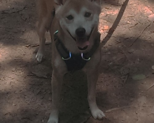 西安爱米粒幼儿园怎么样（西安爱米粒幼儿园怎么样收费）