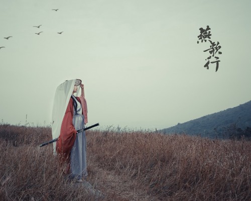 设立国有独资公司的条件有哪些