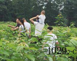 彭州市亲亲果园水果种植专业合作社