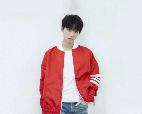  商标类目及商标类目查询：了解商标类目的重要性和使用方法