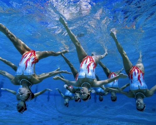 小规模纳税人怎么交税