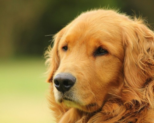 陕西省公务员特警工资怎么样（陕西省公务员特警工资怎么样啊）