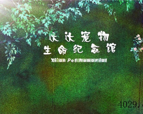 西安达达宠物服务有限公司