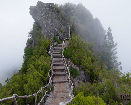 explorelearning官网