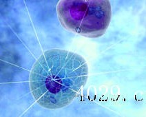 陕西友谊医学检验实验室