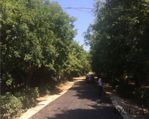 陕西海天园林公司