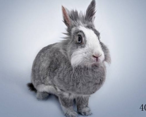 上海建工医院官网