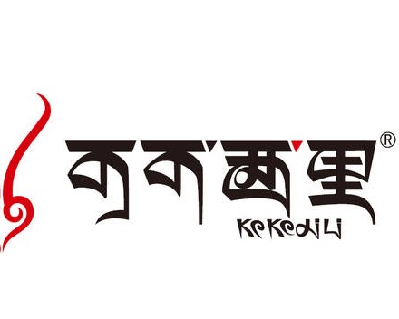 可可西里智能锁