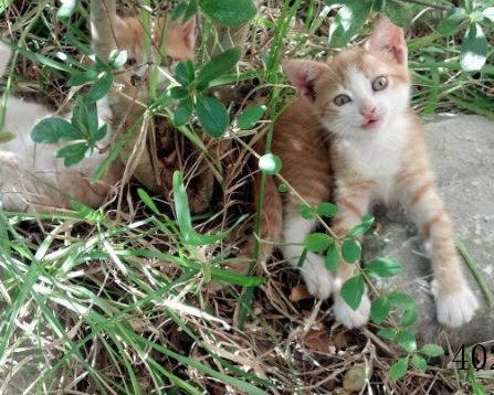 LuLuLun面膜官方网站