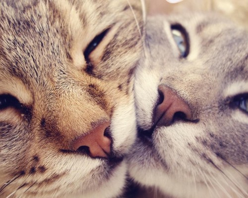 株洲市二医院官网