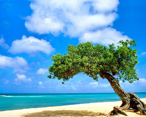 杭州代理记账公司一年的费用是多少