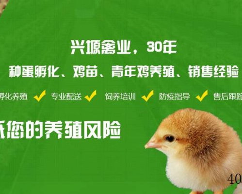 渭南市兴塬禽业公司