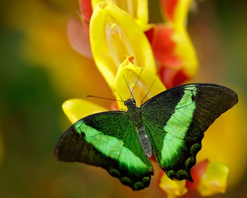 陕西高温无机涂料怎么样（西安无机涂料厂家）