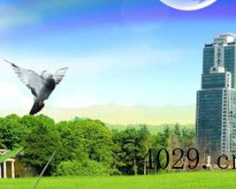 西安市碑林区红光清洗维修服务部