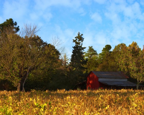西安康华药业口腔溃疡贴怎么样（西安康华口腔溃疡贴膜）