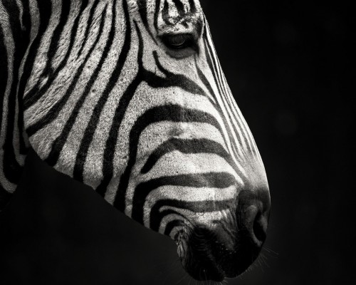  西安市荣特机电设备有限公司招聘|西安市荣特机电设备有限公司工作机会