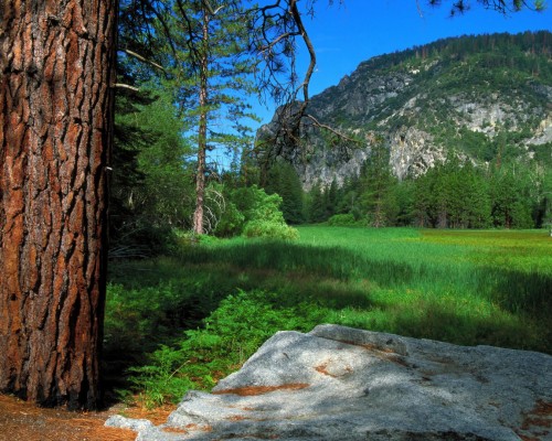 西安东方星座 怎么样（西安东方星座怎么样）