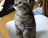 西安科技大学化学工程专业怎么样（西安科技大学化学工程专业怎么样啊）