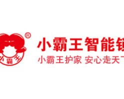小霸王智能锁