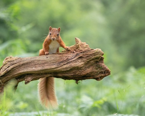 土地使用税财产税的关系是什么