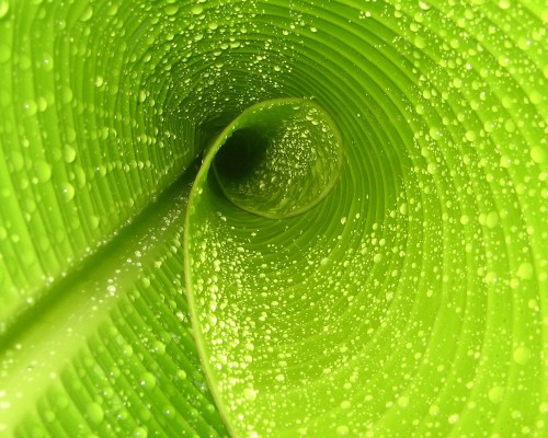 公司为个人提供虚假纳税申报如何处罚