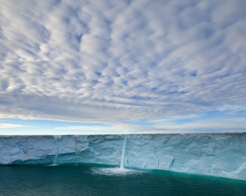西安君怡乐食品有限公司怎么样（西安君怡乐食品有限公司怎么样啊）