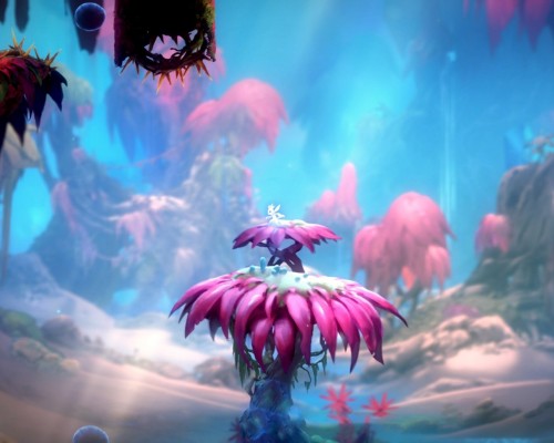 什么是公司清算程序终结