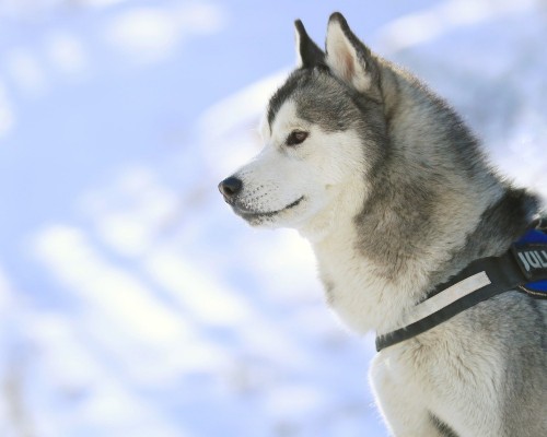 黔西南州妇产儿童医院官网