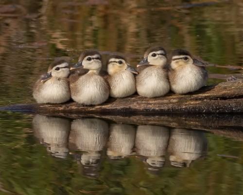 宝鸡微创治疗腰椎间盘突出效果怎么样（宝鸡微创治疗腰椎间盘突出效果怎么样啊）