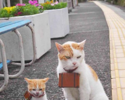 江西人民出版社官网