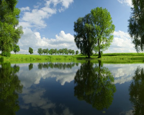 油污抓爬剂TTM提高除油速度的添加剂