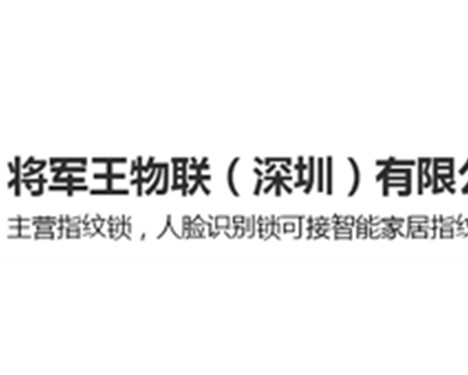 将军王智能锁