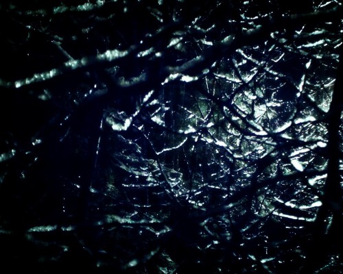 西安商务学院怎么样